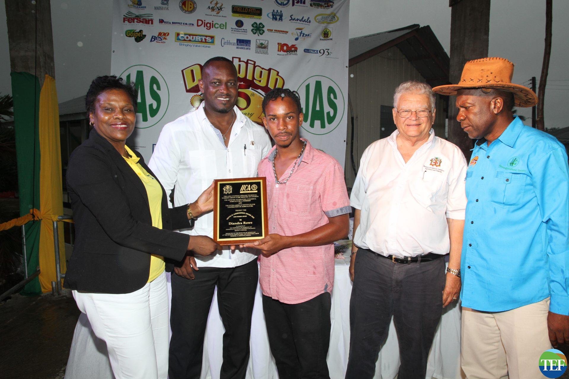 2017 Denbigh Tourism Enhancement Fund